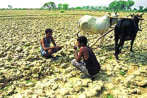 सातबा-यावर नाव नाही, पण गारपीट मदत दिली गेली