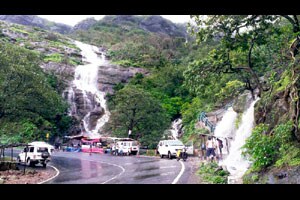 राज्यातील दमदार पावसामुळे धरणातील साठा २९ टक्क्य़ांवर!
