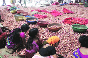 कांद्याला हमी भाव देण्याची छावा संघटनेची मागणी