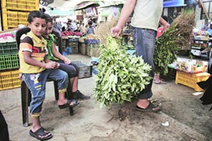 गाझात तात्पुरती शस्त्रसंधी