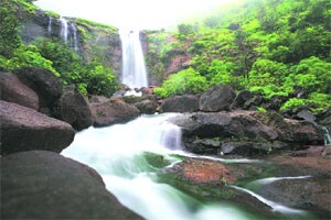 शहाणपणाचा घडा रिकामाच!