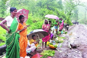 पावसाळा विशेष : रानातले हिरवे सोने..!