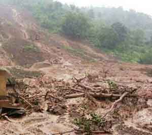 माळीण दुर्घटनेतील मृतांच्या स्मृती वृक्षांच्या स्वरूपात जपण्याची योजना