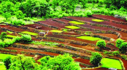सिंधुदुर्गात पावसाचे आगमन