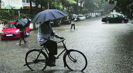 पावसाची (तलावांतही) दमदार हजेरी!