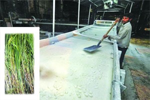 तासगाव साखर कारखाना भाडे कराराने चालविण्यासाठी निविदा जारी