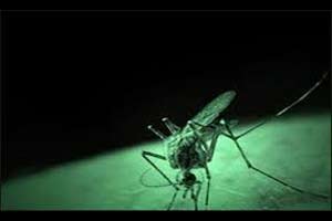 सांगलीत आता डेंग्यूबरोबर गॅस्ट्रोची साथ