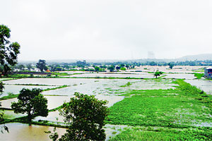 चोवीस तासांत ६६३ मि.मी.पाऊस