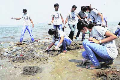 हातात झाडू अन् छायाचित्रांची भरमार..