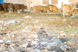 विविध वस्त्यांमध्ये कचऱ्याचे साम्राज्य, महापालिकेचे दुर्लक्ष