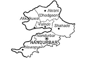नंदूरबार जिल्ह्य़ातील विजयी उमेदवार