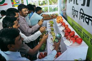 मोशीत किसान कृषी प्रदर्शनास प्रारंभ