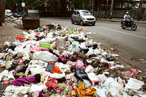 कचरा वर्गीकरणाबाबत पालिका कामगारांचा प्रकल्प कौतुकास्पद