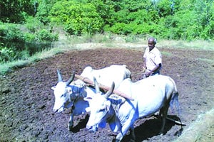 मूळ समस्या सुटल्याशिवाय हे नवे तंत्रज्ञान काय कामाचे?