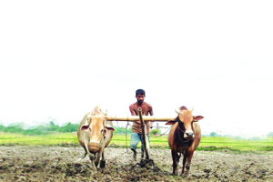 कामगार, शेतमजूर व शेतक ऱ्यांच्या प्रश्नांवर राजकीय खेळ -डॉ. आढाव