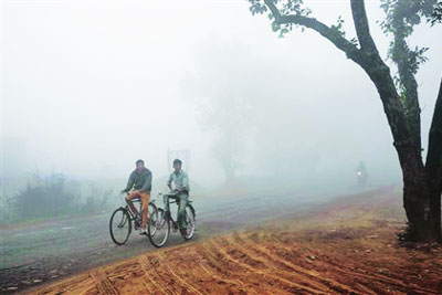 उत्तर प्रदेशात दाट धुके, थंडी, अपघातात १६ मृत्युमुखी