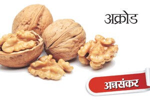 अक्रोड