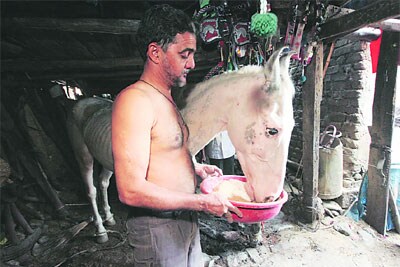 इन फोकस : मर्द टांगेवाला..