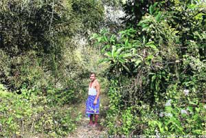 जंगल वसवणारा माणूस