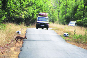 ट्रॅव्हलॉग : तुम्हीच व्हा तुमचे टुर ऑपरेटर