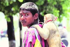 क्लिक: कुणाच्या खांद्यावर..