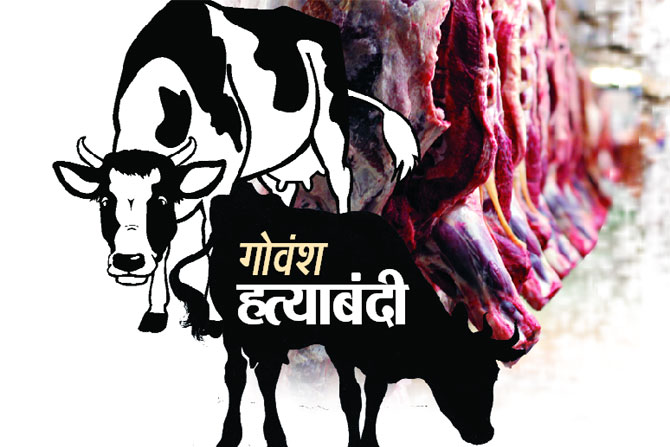 गोवंश हत्याबंदी कायदा कशासाठी?