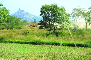 राज्यातील वनजमिनींचा गैरवापर !