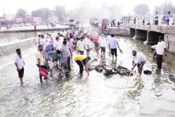 गोदा स्वच्छतेसाठी सर्वाची एकजूट