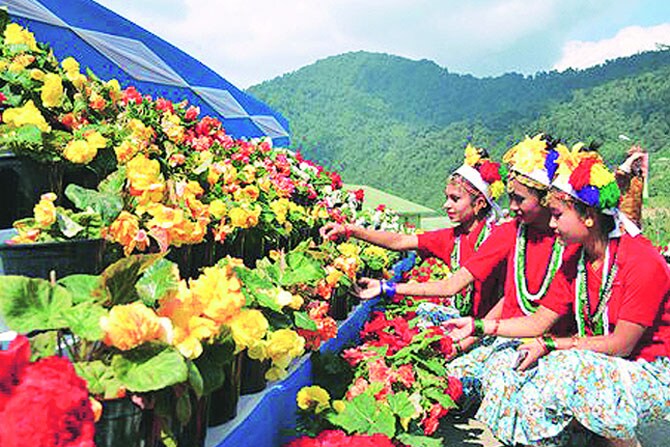 सिक्कीमचे ‘सेंद्रिय’पाऊल!