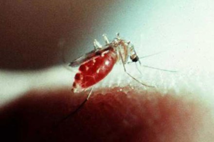 मलेरिया मृत्यूंच्या प्रमाणात घट