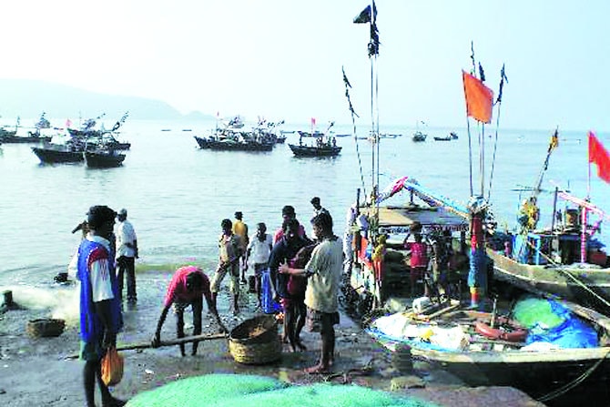 मासे , मच्छीमार जगण्यासाठी..