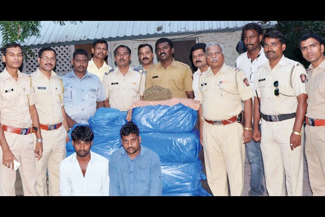 होंडा सिटीतून गांजाची तस्करी होंडा सिटीतून गांजाची तस्करी