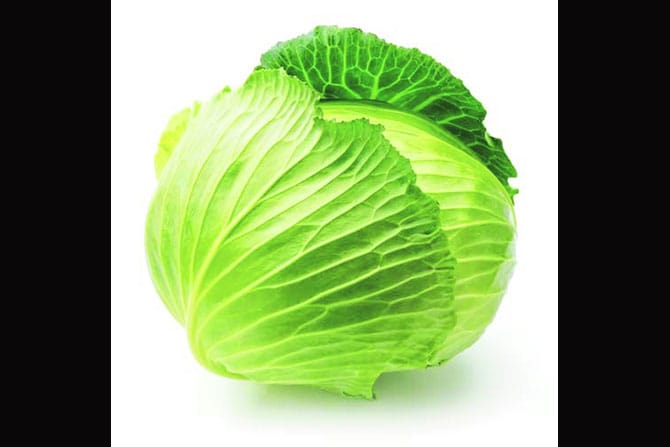 कोबी