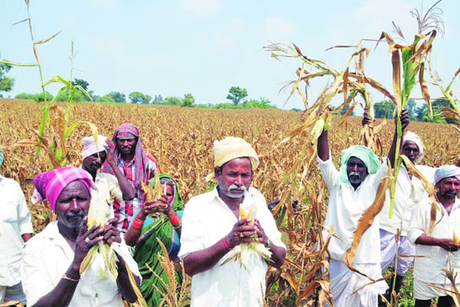 संकटातील शेती आणि शेतकरी