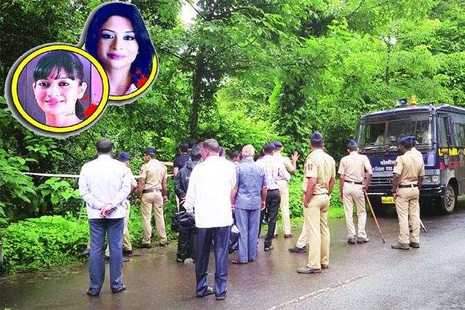 शीना बोरा हत्या प्रकरण : शीनाच्या सांगाडय़ाची डीएनए चाचणी