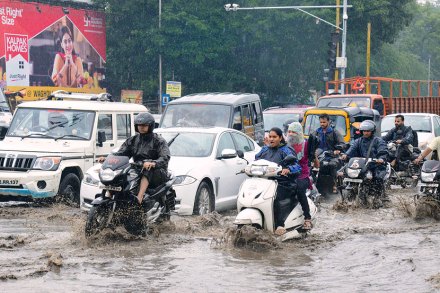 संग्रहित छायाचित्र 