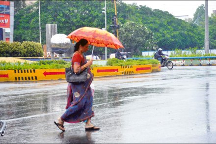 राज्यात सरींवर सरी, धरणांच्या पाणीपातळीत वाढ