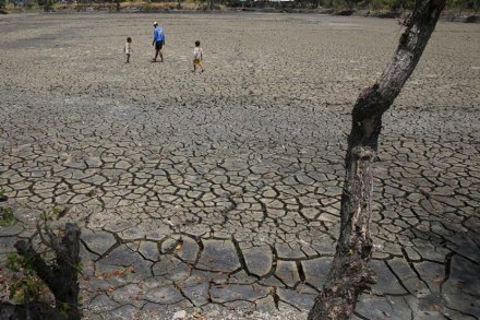 मराठवाडय़ातील साडेआठ हजार गावांत दुष्काळ