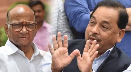 Narayan rane on sharad pawar statement shivsena