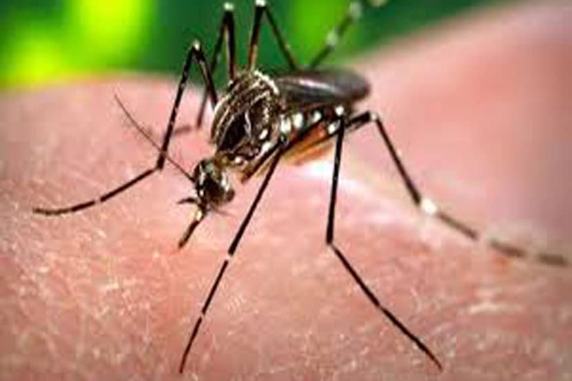 दिल्लीत डेंग्यूचे दोन हजार रुग्ण
