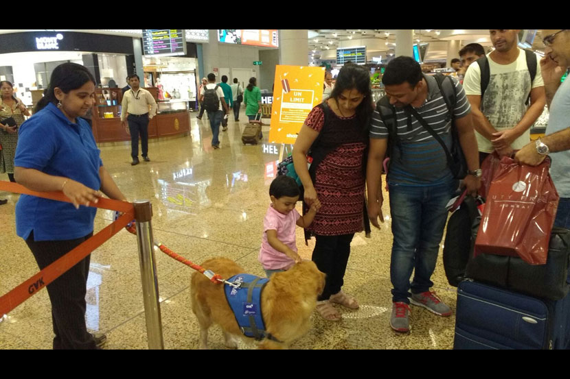 मुंबई विमानतळावर प्रवाशांना ‘डॉग थेरपी’चा अनुभव!