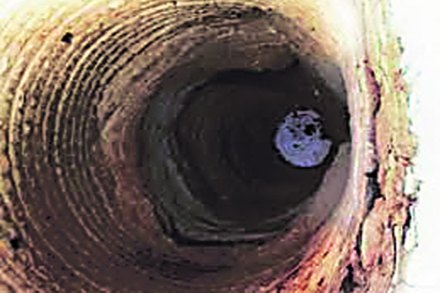 अवर्षणाची स्थिती बिकट