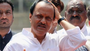 ajit pawar , bjp , beef ban, Maharashtra, Loksatta, Loksatta news, Marathi, Marathi news