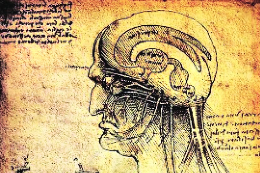 मेंदू आणि मज्जासंस्थेच्या कार्याविषयी 
‘लिओनार्दो’ने रेखाटलेले चित्र