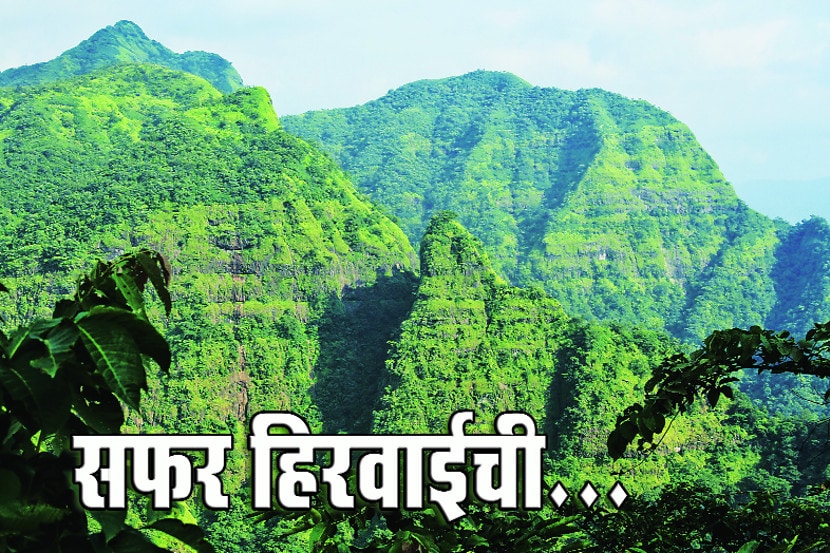 सफर हिरवाईची…