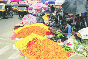 पारंपरिक बाजारात झेंडूचे भाव कडाडले