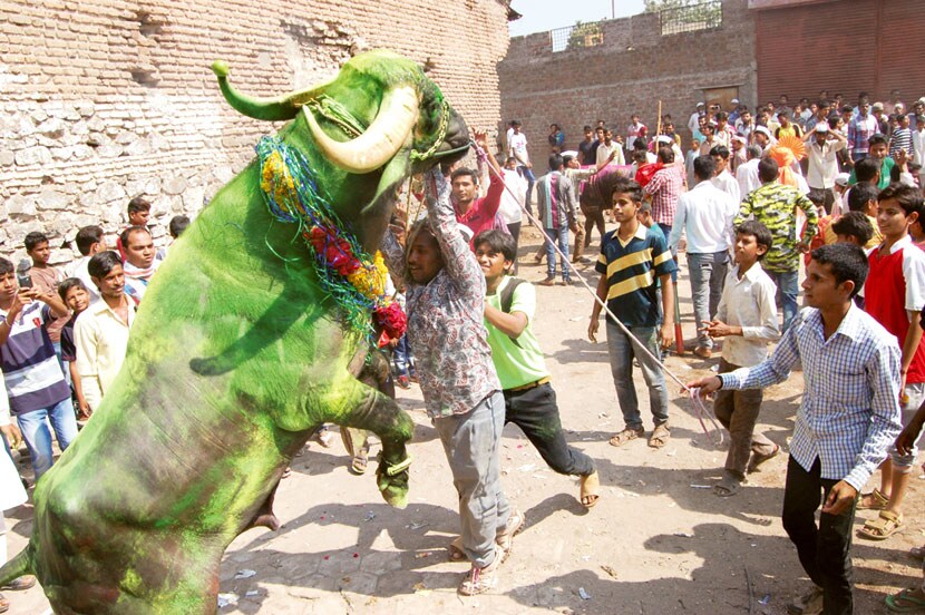 हेल्यांचा सगर उत्साहात