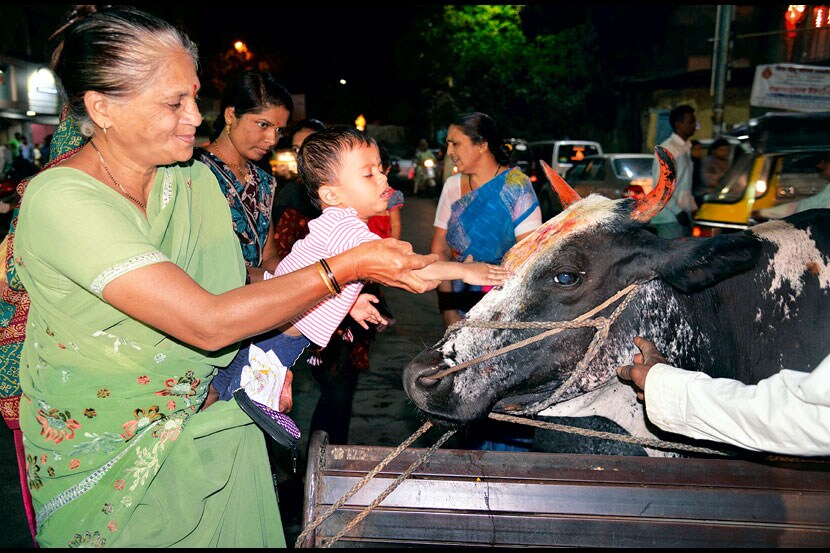 गोपूजनाने झगमगत्या दीपोत्सवाचा प्रारंभ