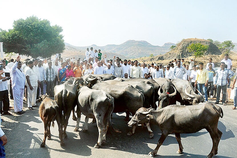 ‘टेंभू’तून मेरवेवाडी तलावात पाणी सोडण्यासाठी सुर्ली घाटात रास्ता रोको
