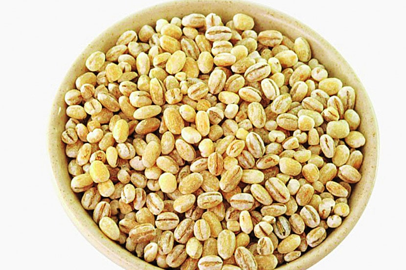 barley grain, benefits, Chaturange, Chaturange news, Marathi, Marathi news